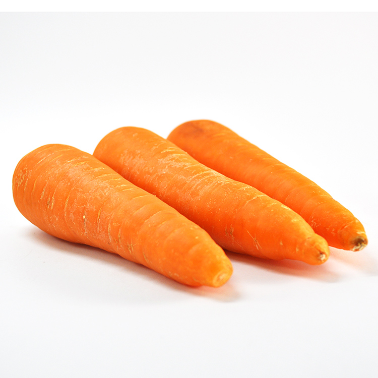 Best Quality Fresh Carrot from Caucab Enterprises