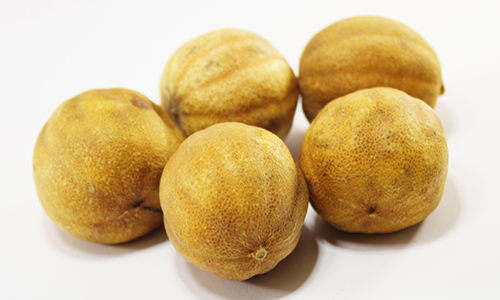 DRY YELLOW LEMON from KING HERBS EXPORT IMPORT