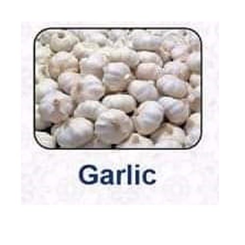 Best A Grade Export Quality Garlic from SMALL MARKET EXIM India