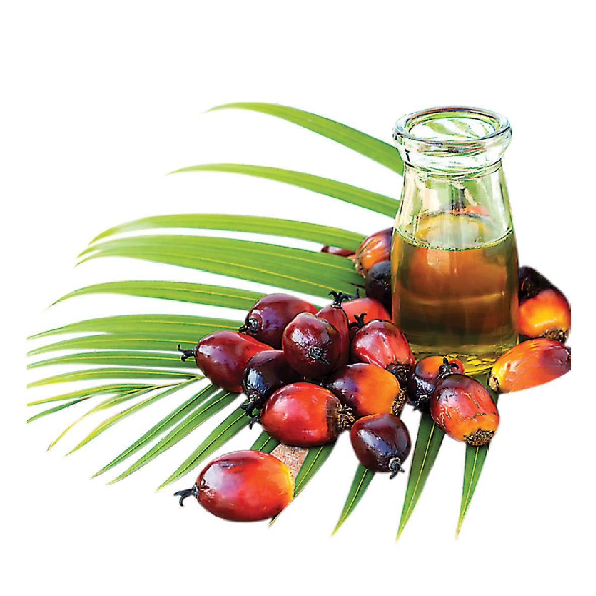 Super Palm Olein Oil