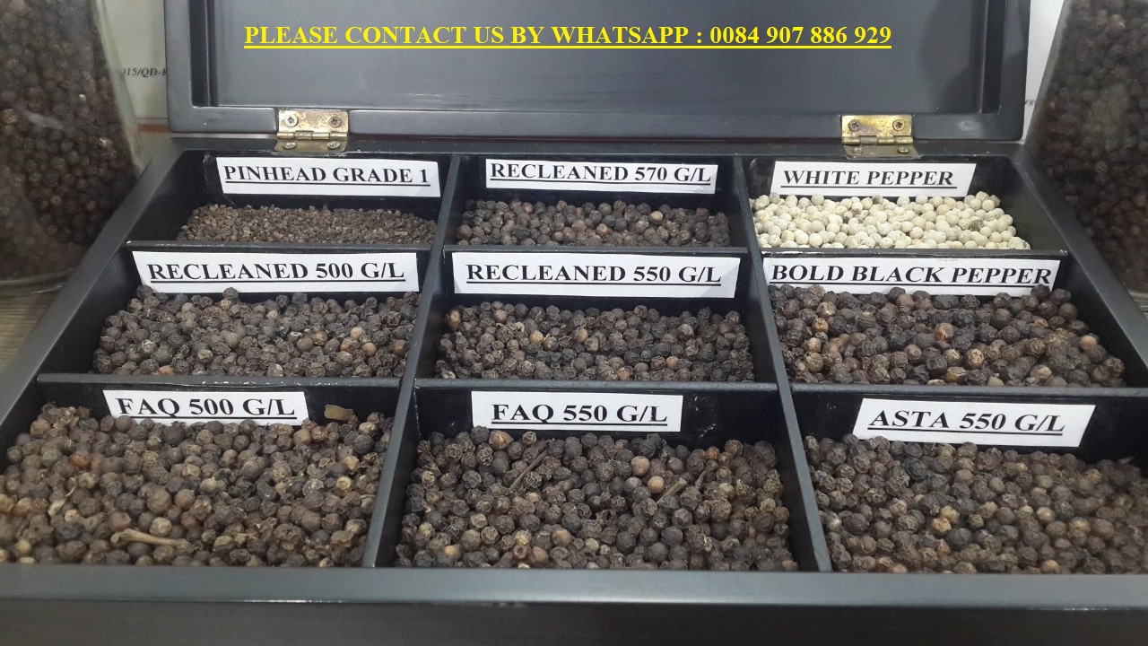 BLACK PEPPER ( TOP BLACK PEPPER EXPORTER IN VIETNAM ) from SWAN IMEX CO LTD