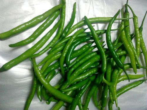 Green Chilli( Export - &- Bulk Quantity only)) from Mithuna Foods
