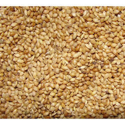 Foxtail Millet from CK AND CO