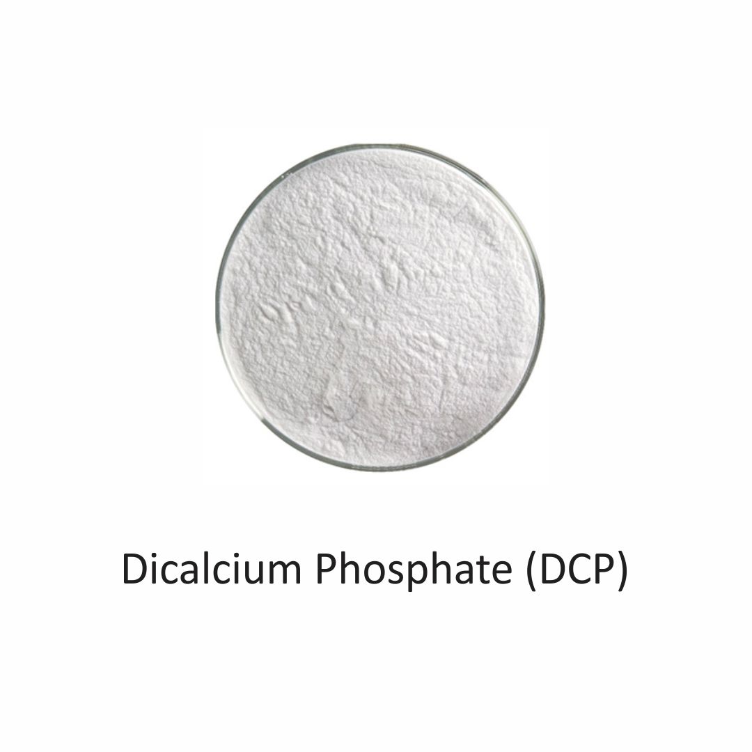 Dicalcium Phosphate (DCP) from Tanmaay Exports