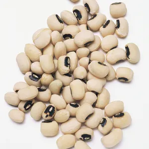 Dried Black Eye Vigna Bean from Saju Agro Dealers