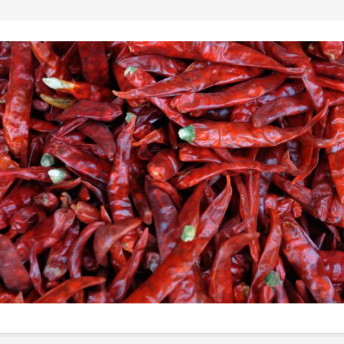 Best Quality Red Chilli from Rameshwaram Agro Exporters from Rameshwaram Agro Exporters