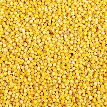 Yellow Millet