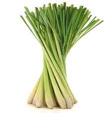 Lemon Grass 