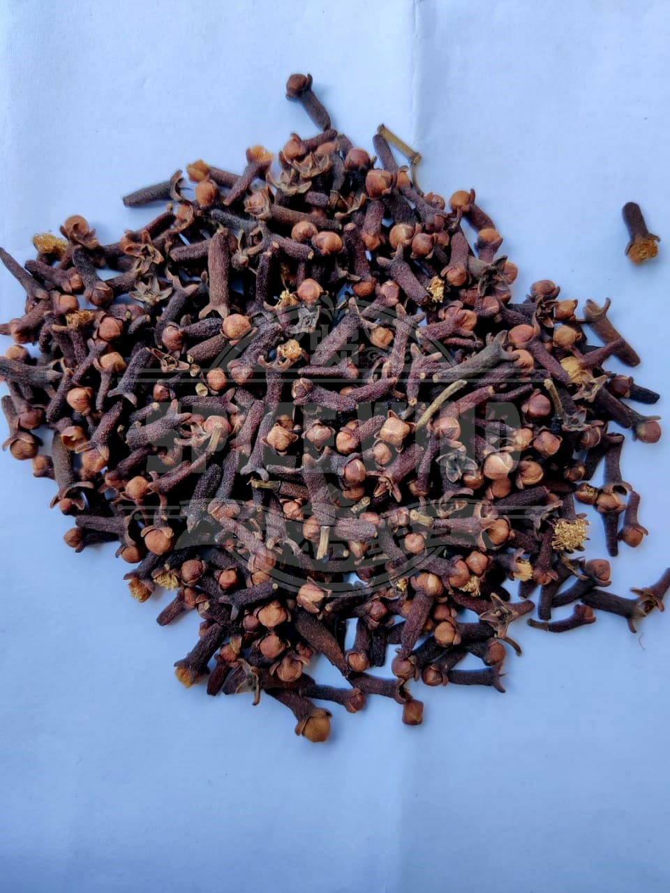 Best Quality Cloves  from Spice Wind Traders