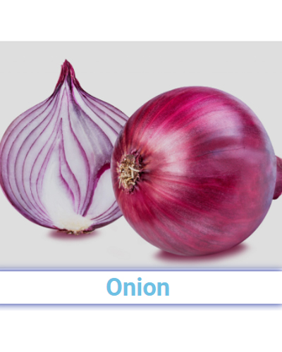 Fresh Onion (White/Red) - Pan India from SRG EXIM