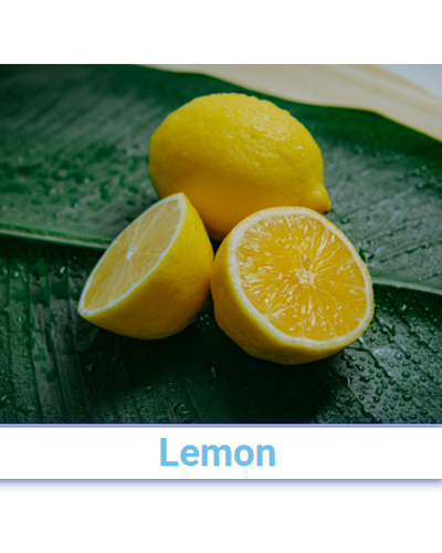 Fresh Lemon - Pan India from SRG EXIM