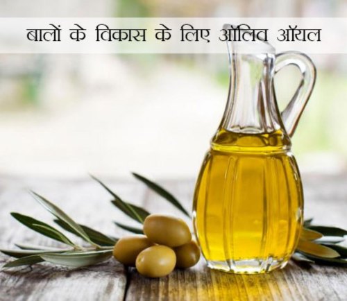 Olive Hair Oil from Herbal Exports