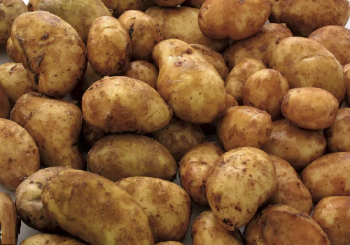 A Grade Potato from Hakim vegetable and fruit supplier 