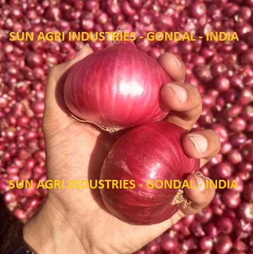 Onion  from SUN AGRI INDUSTRIES