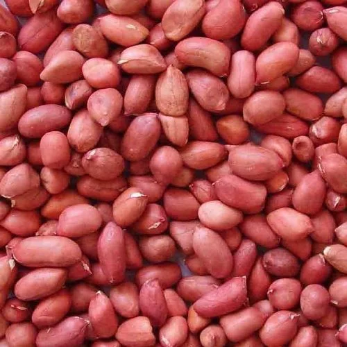 Dry Peanut from Iaarvi Global