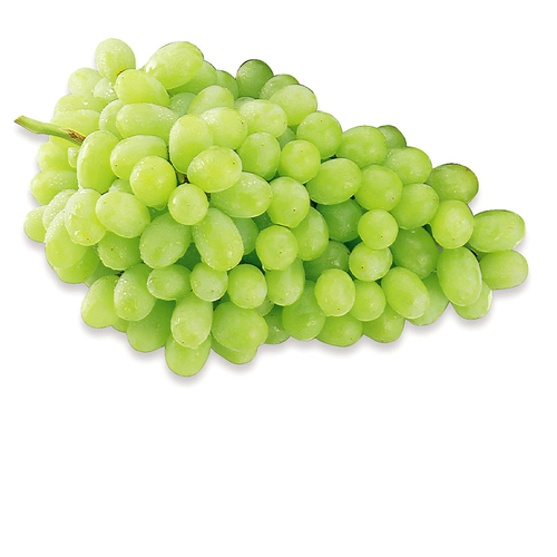 Gauri Farm A Grade Green Grapes from Gauri Farm