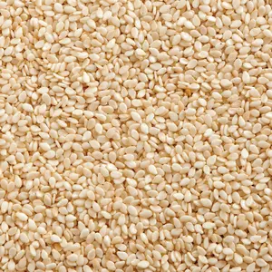 Sesame seeds from STANDARD FOCUS ROYALLERE INTERNATIONAL LIMITED