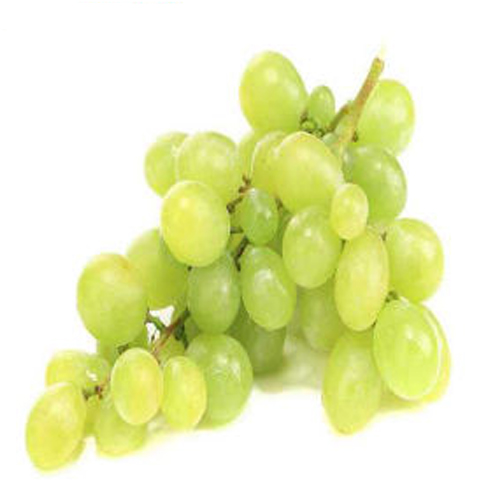 Fresh & Organic Grapes from EXPO TRADING