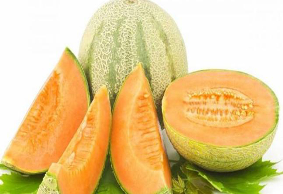 A Grade Fresh Muskmelon