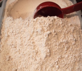 Whole Wheat Flour from PV EXIM