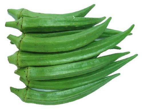 Okra from Chauhan Exim