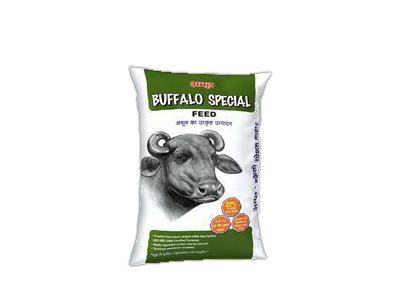Amul Buffalo Special from AB Enterprises