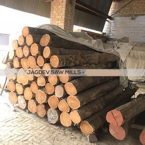 24mm Thick 10 Feet Brown Round Costa Rica Teak Wood For Door Frame from Jagdev Saw Mills