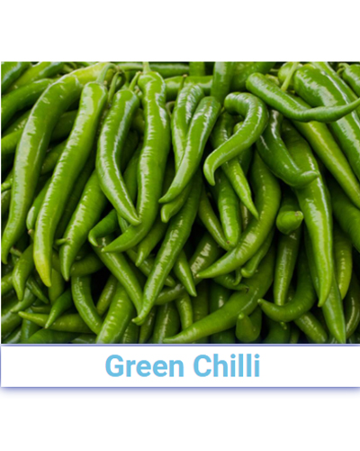 Fresh Green Chilli - Pan India from SRG EXIM