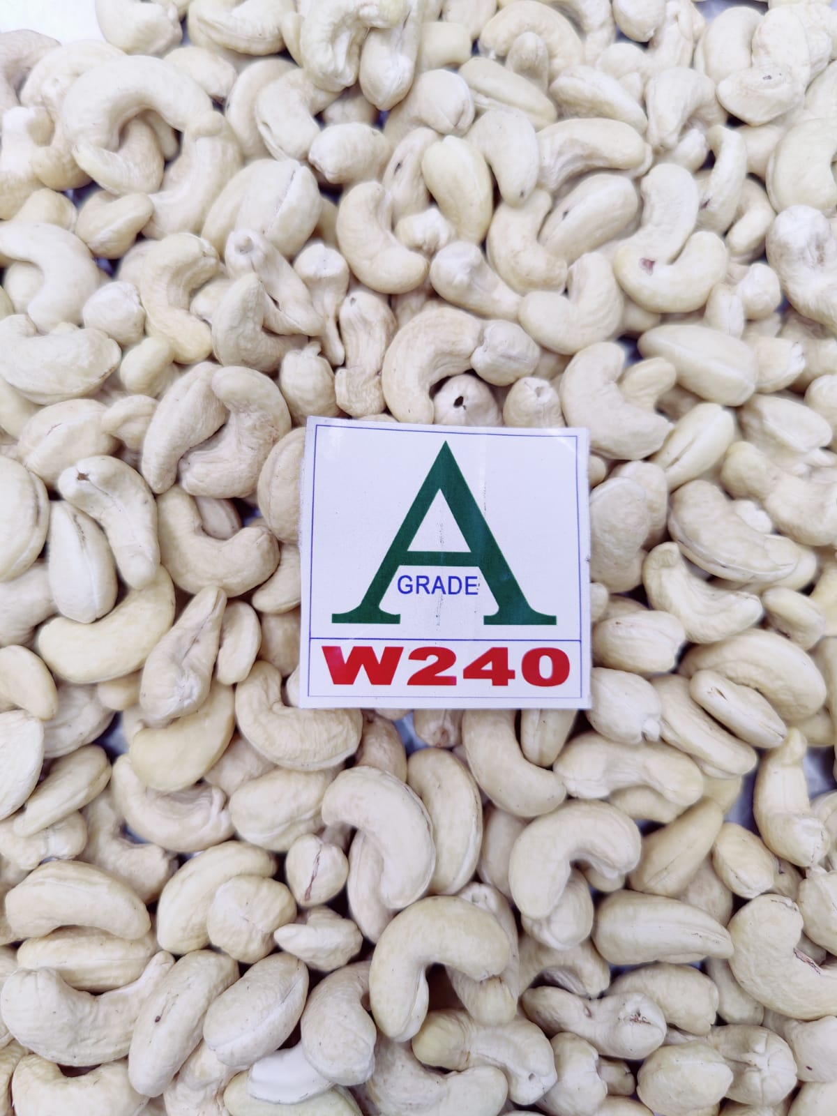 Best Cashew Nuts Grade - W240 from Aditya Nuts & Spices from Aditya Nuts & Spices 