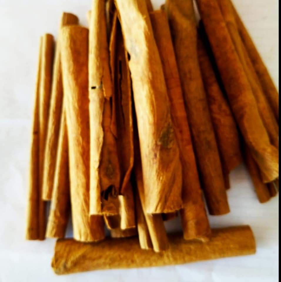 A Grade Cinnamon (Dalchini) from Delwai International Pvt Ltd................