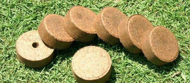 Coco Discs from JEEVASRI EXPORTS