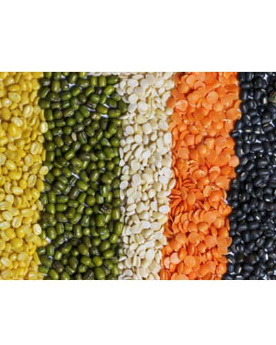 Pulses And Grains, (Daal )Pan India  from Kubendiran International