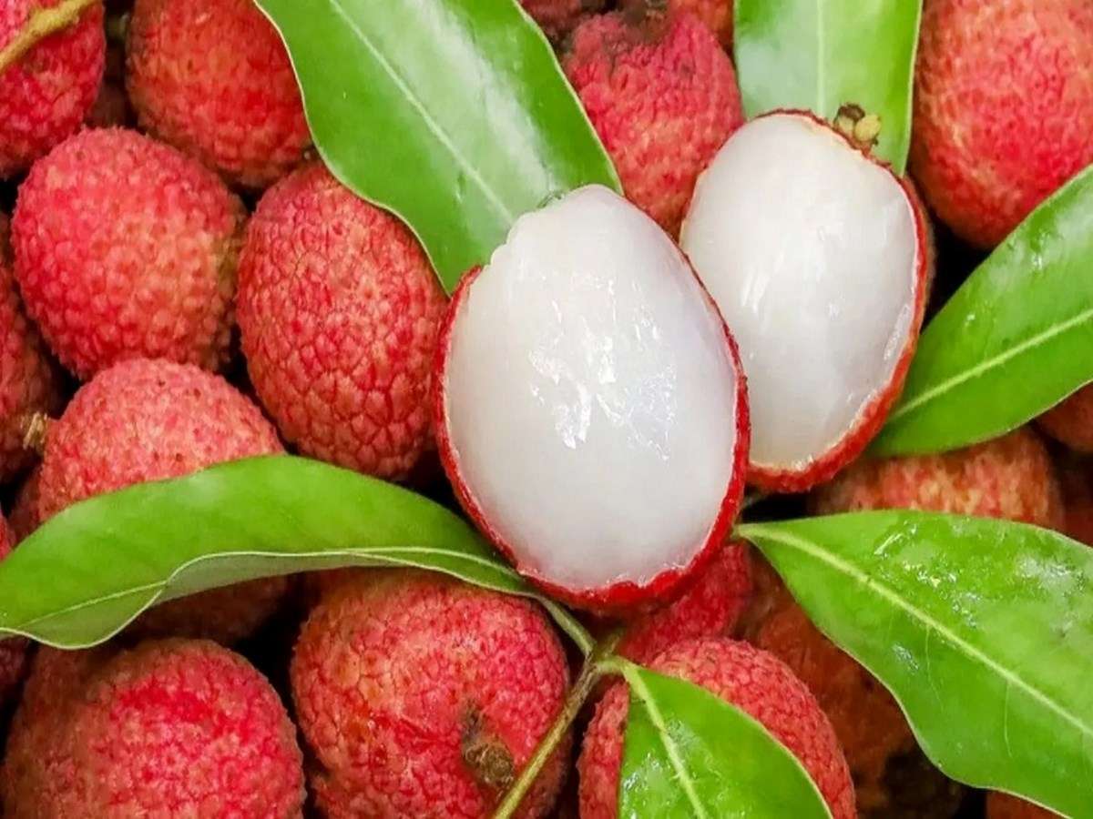 A Grade Lychee Fruit from Hakim vegetable and fruit supplier 