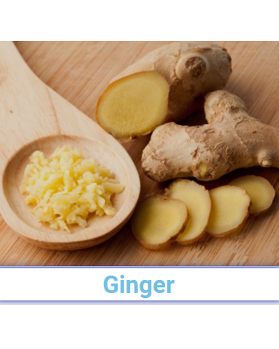 Fresh Ginger - Pan India from SRG EXIM