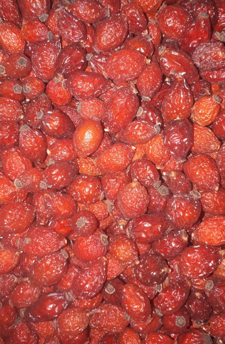 Rosehip fruits from Makebe Trading Pty Ltd