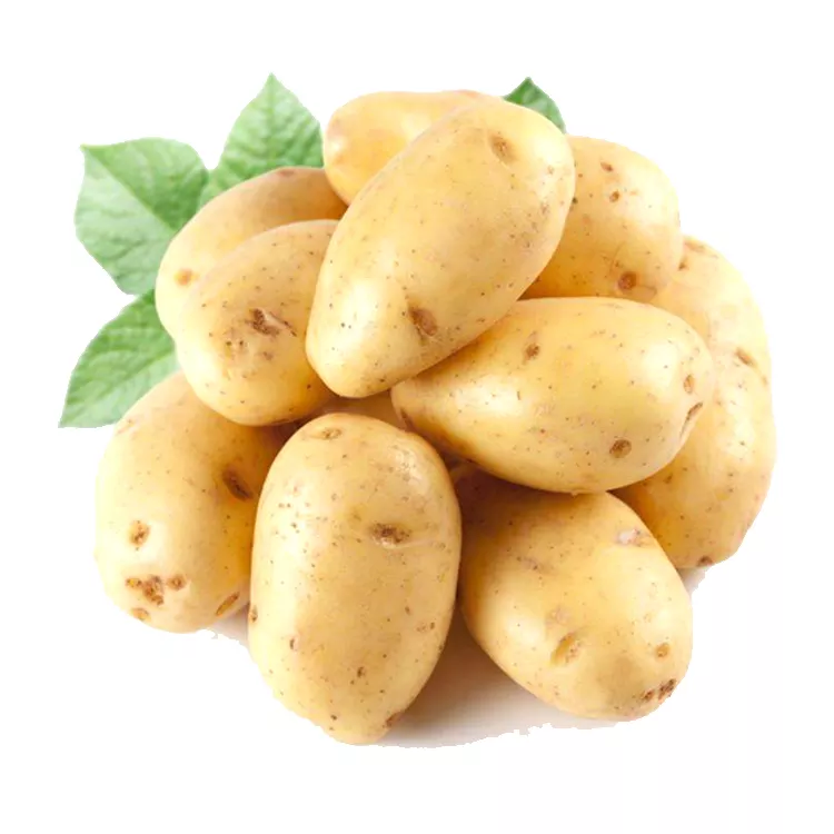 Best Quality Potatos   from Caucab Enterprises