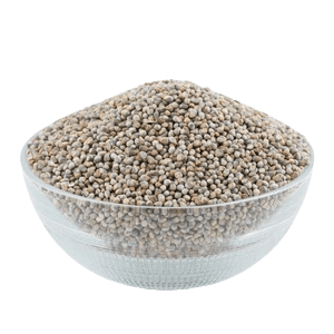 Best Quality Pearl Millet from GK HERBAL EXPORTS