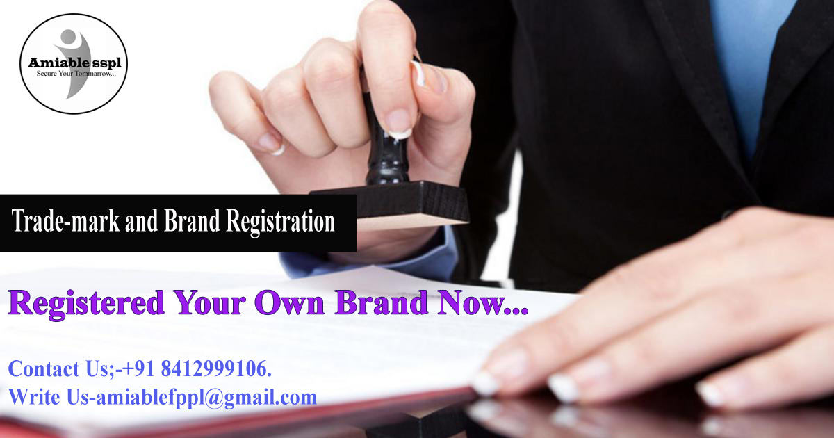 BRAND AND TRADEMARK REGISTRATION from Amiable Start-Up Solutions Pvt. Ltd. 