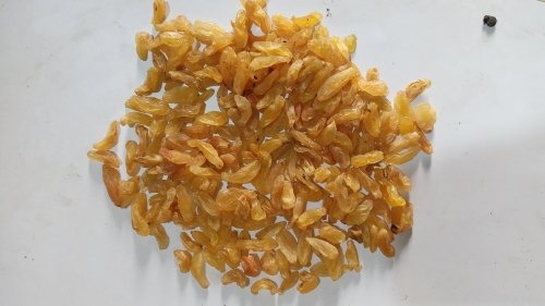 Gauri Farm Golden Raisin Long from Gauri Farm