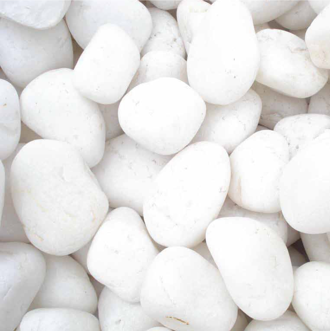 Round White River Pebbles (Natural)