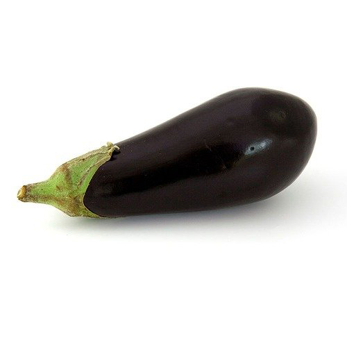 Organic Fresh Brinjal from EXPO TRADING