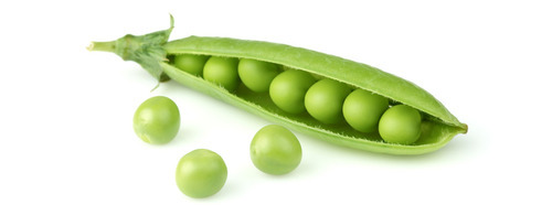 Fresh Peas from Chauhan Exim