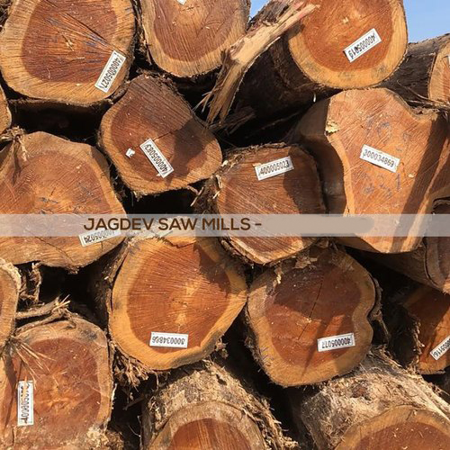 20mm Thick 10 Feet Brown Nigeria Teak Wood For Door Frame from Jagdev Saw Mills