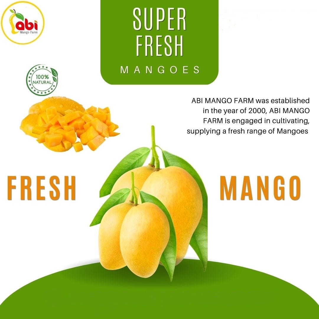 Farm Fresh Mangoes from Abi Mango Farm  from Buy Indian Mangoes Online | Alphonso Mangoes Online