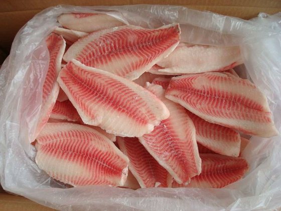 Frozen Tilapia  Fish