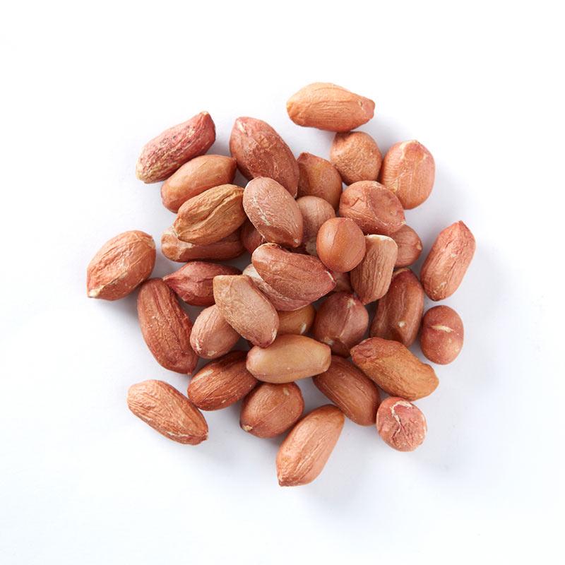 Best Quality Raw Groundnut from NoTHing