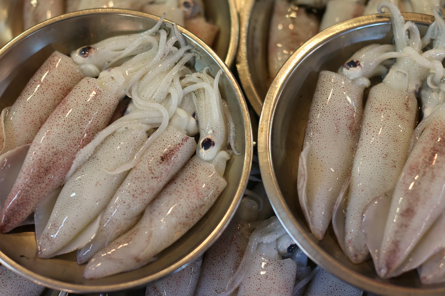 Squid from OM SAKTHI FISH MARKET RETAIL & WHOLESALER