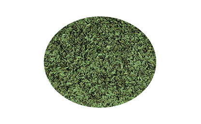 Spearmint from Egy Herbs