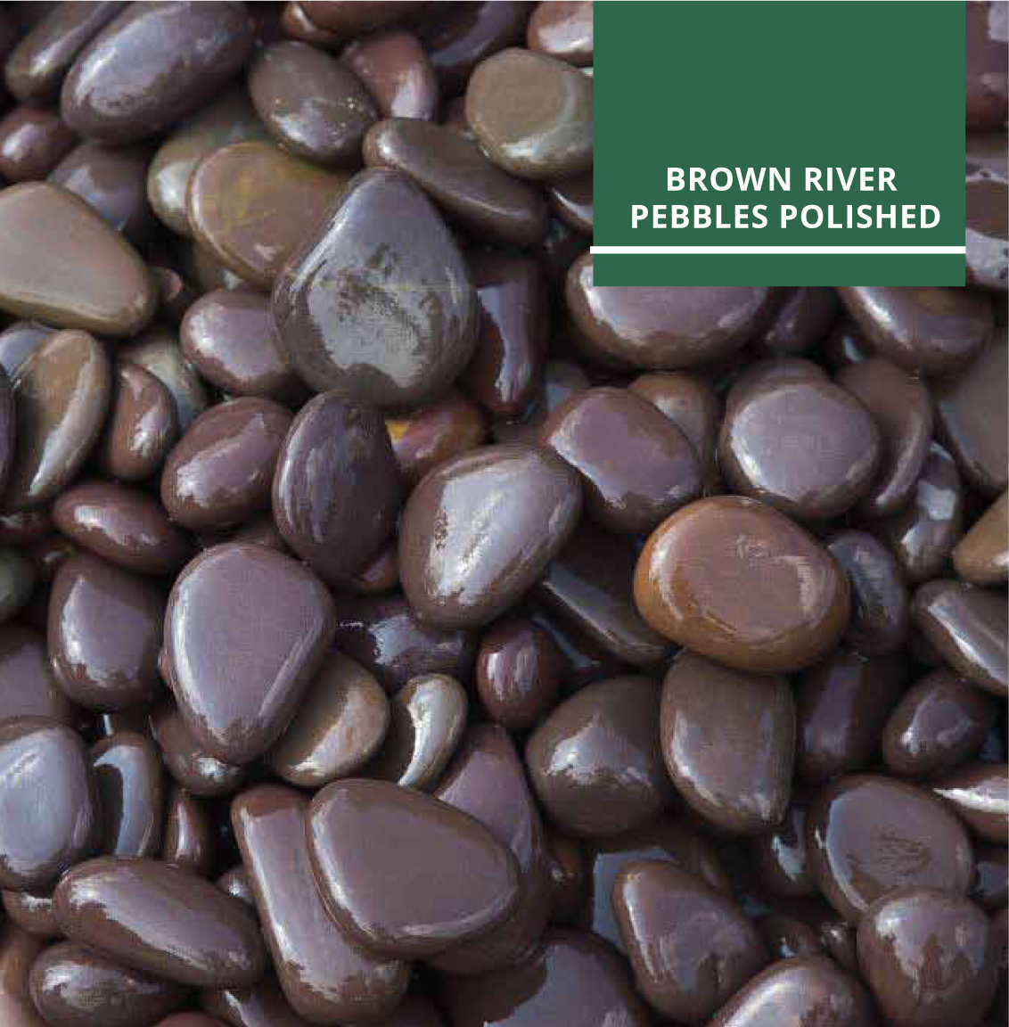 BROWN RIVER PEBBLES POLISHED