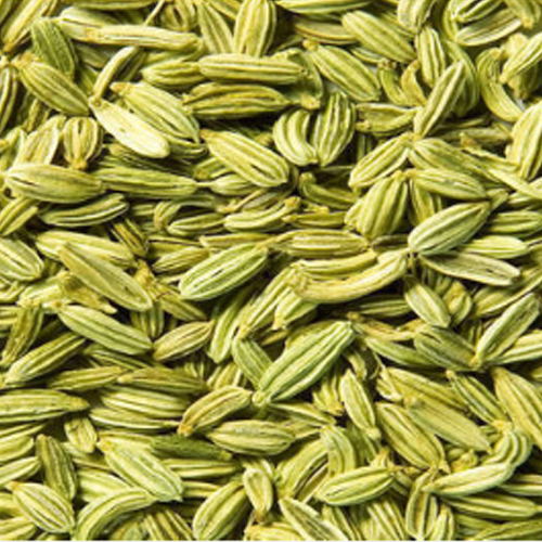 Raw Green Color Organic Fennel Seeds from Zadex Exim